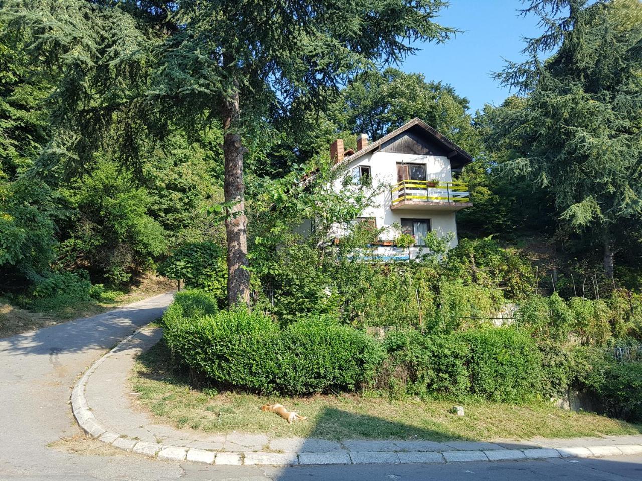 Nena & Rale Rooms Donji Milanovac Exteriör bild