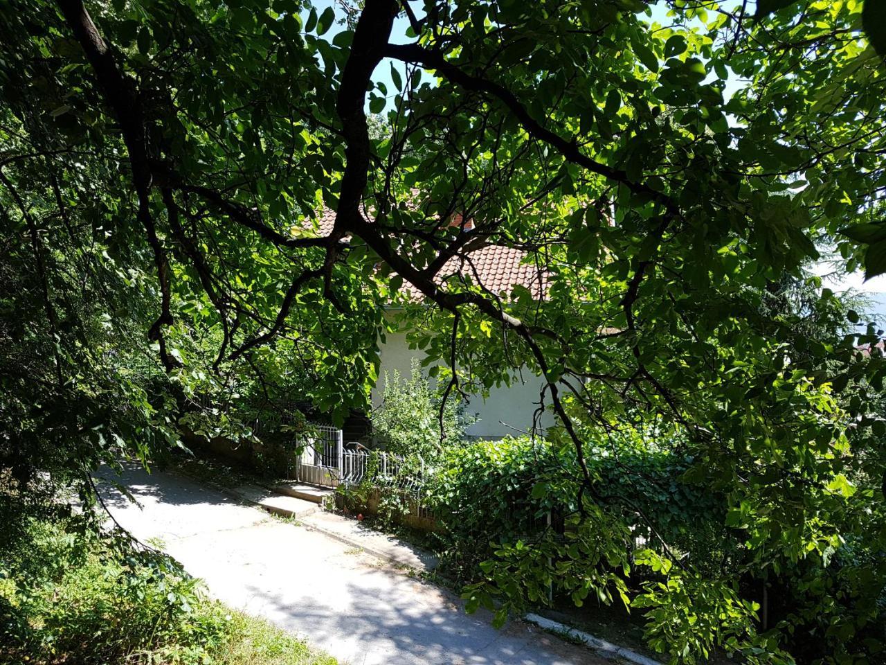 Nena & Rale Rooms Donji Milanovac Exteriör bild