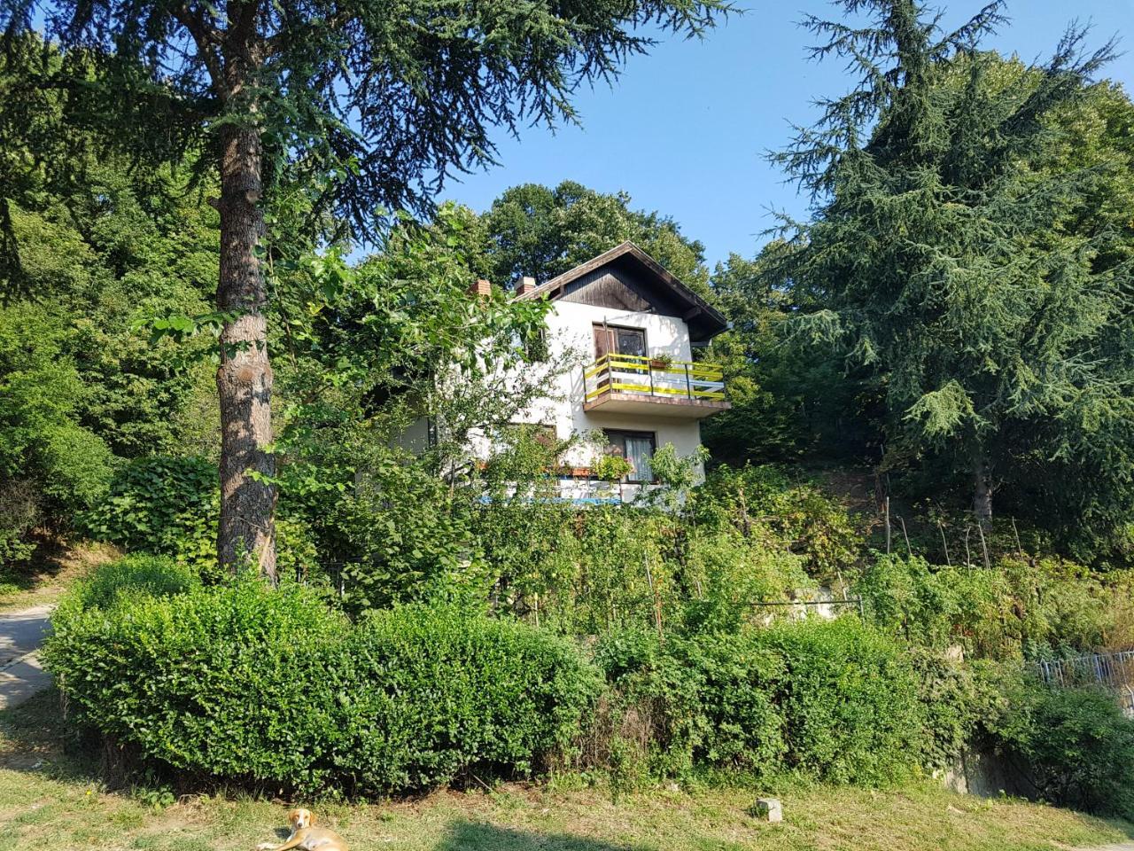 Nena & Rale Rooms Donji Milanovac Exteriör bild